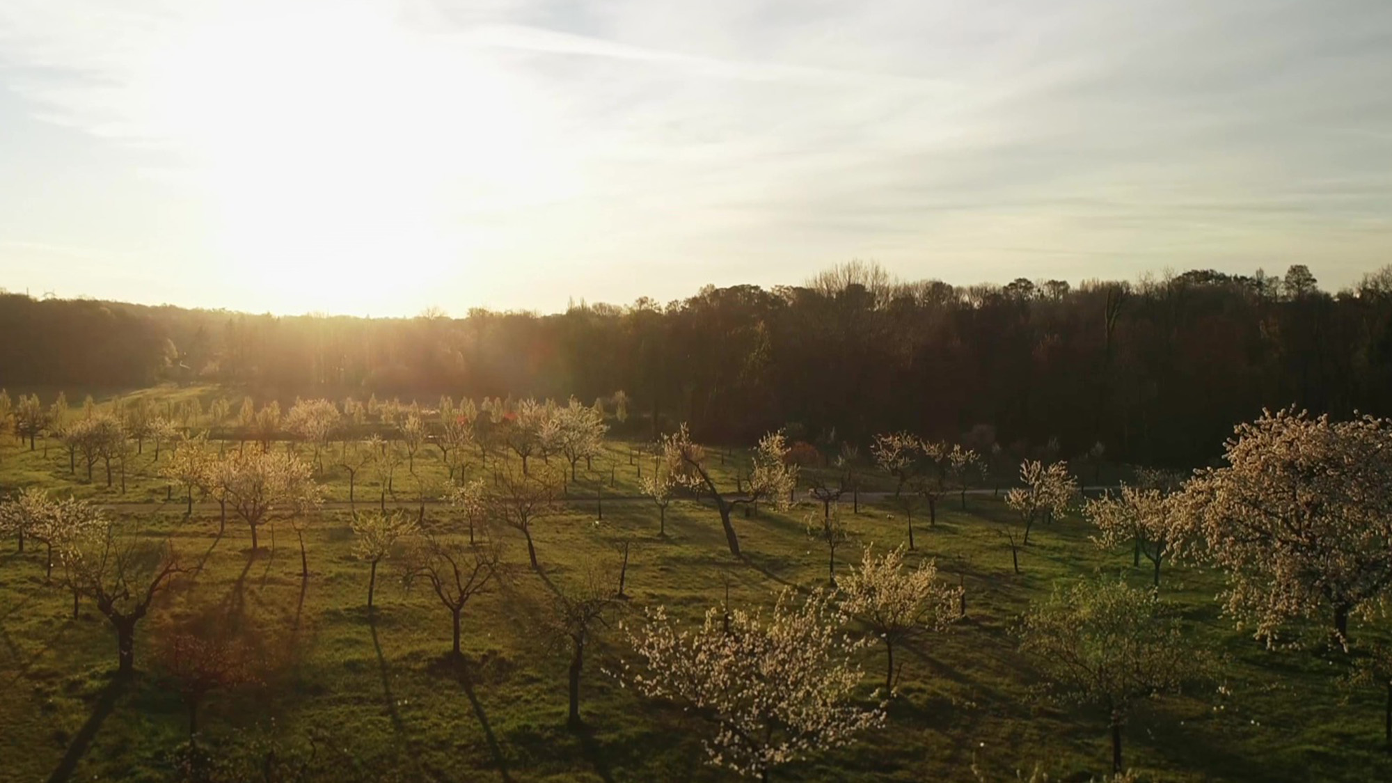 Le jardin secret d'île-de-France