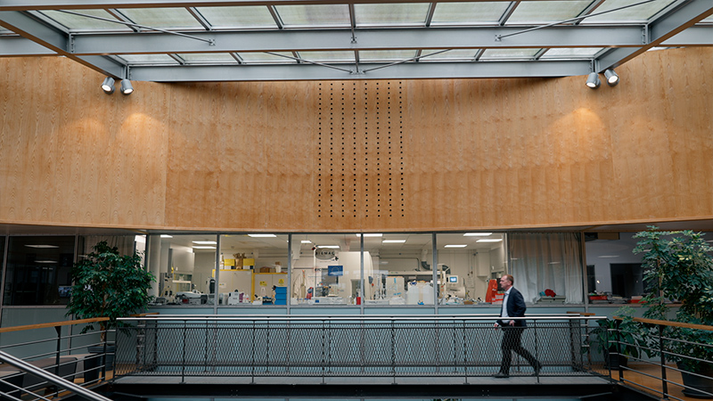 Les médailles de l'innovation